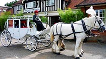Carriage Horse with old coach in front of Bisley Pavilion
